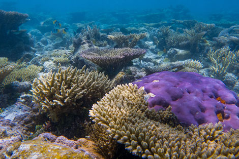 Debunking Patrick Moore's New Climate Book