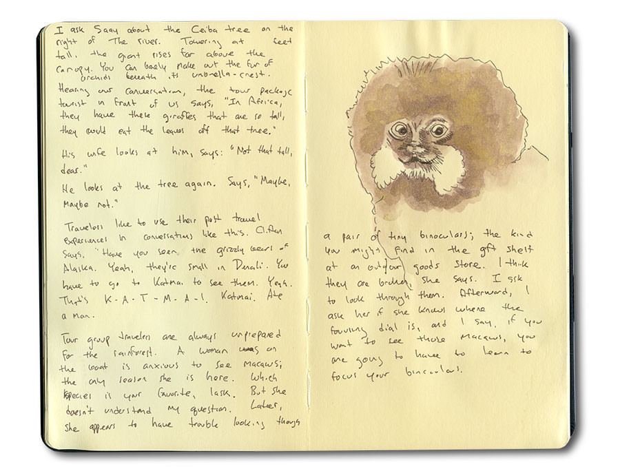 Sketch of Monkey in the Tambopata Jungle