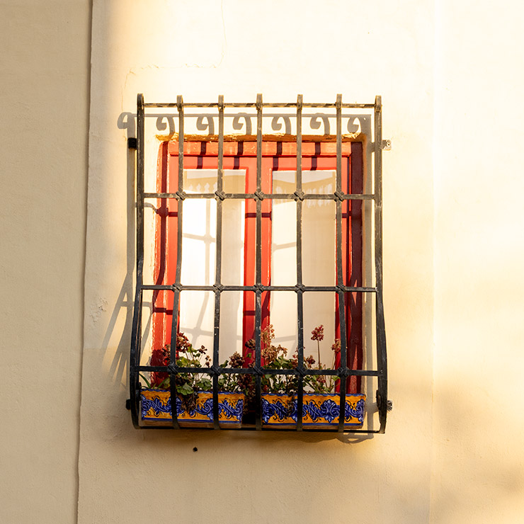 Yellow windows in Essouira