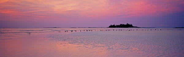 Great Guana Cay view
