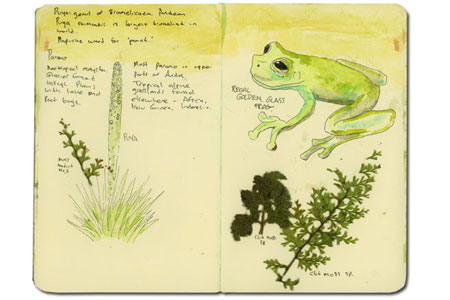 Moleskine Sketch Journal from San Isidro, Ecuador