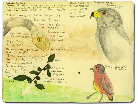 Sketch of snake and eagle in Ecuador