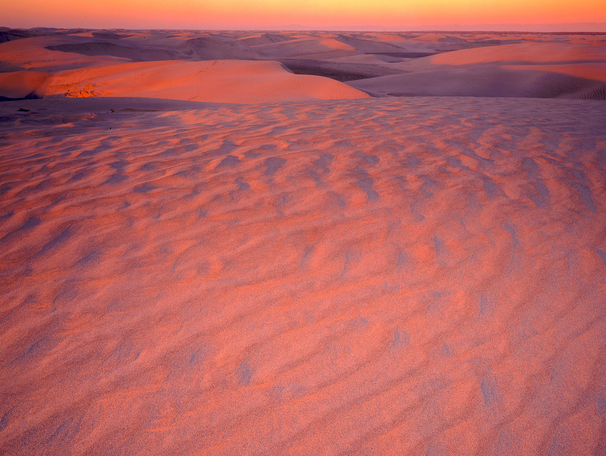 The sand dunes in Baja, Mexico