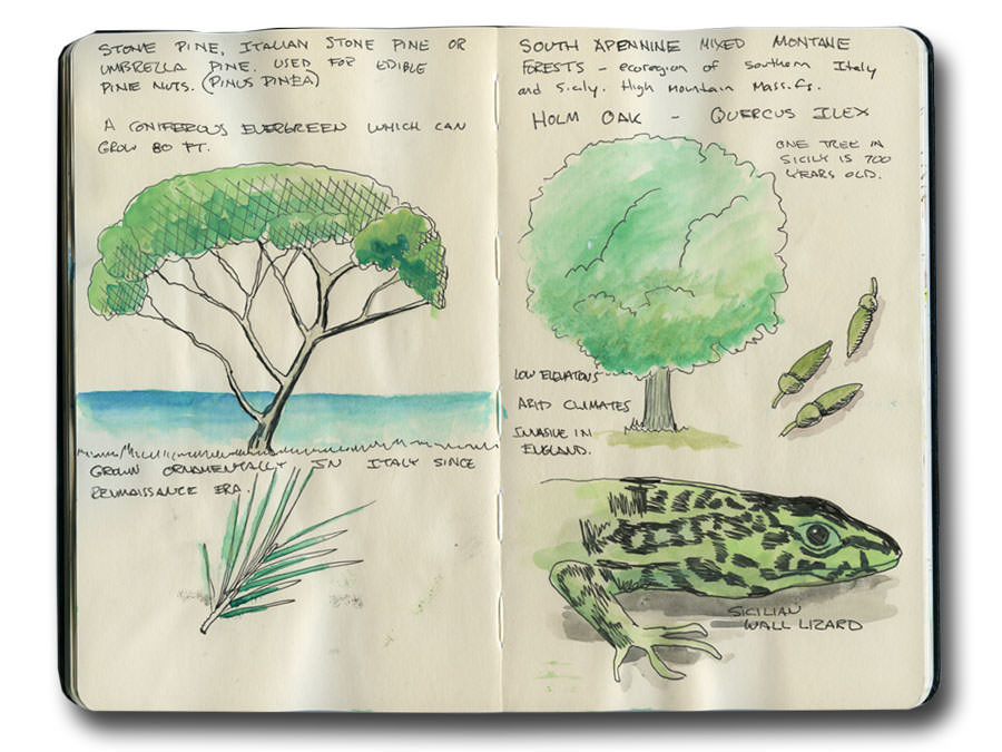 Sicily, Italy Travelogue Journal