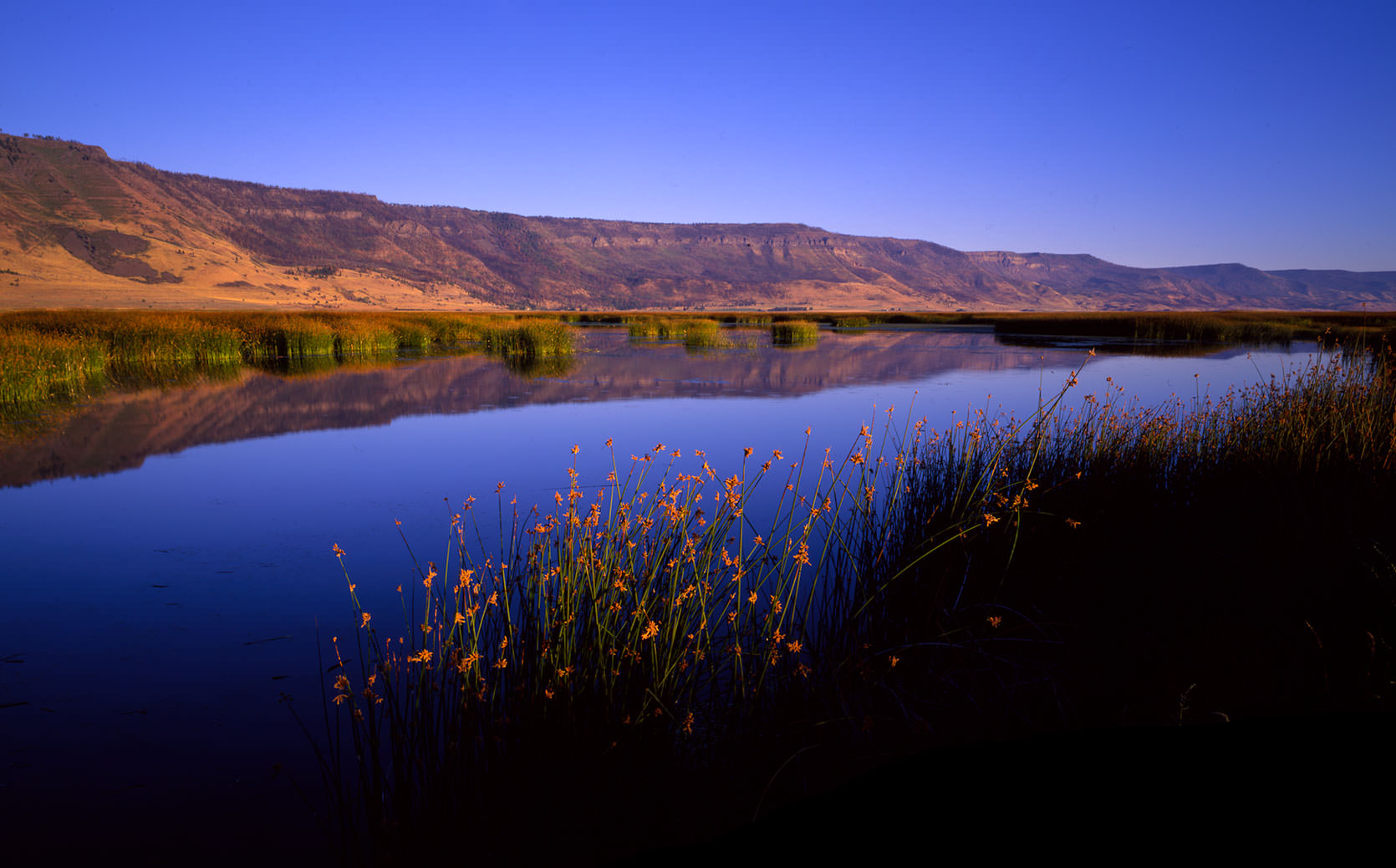 Morning in Summer Lake, Oregon