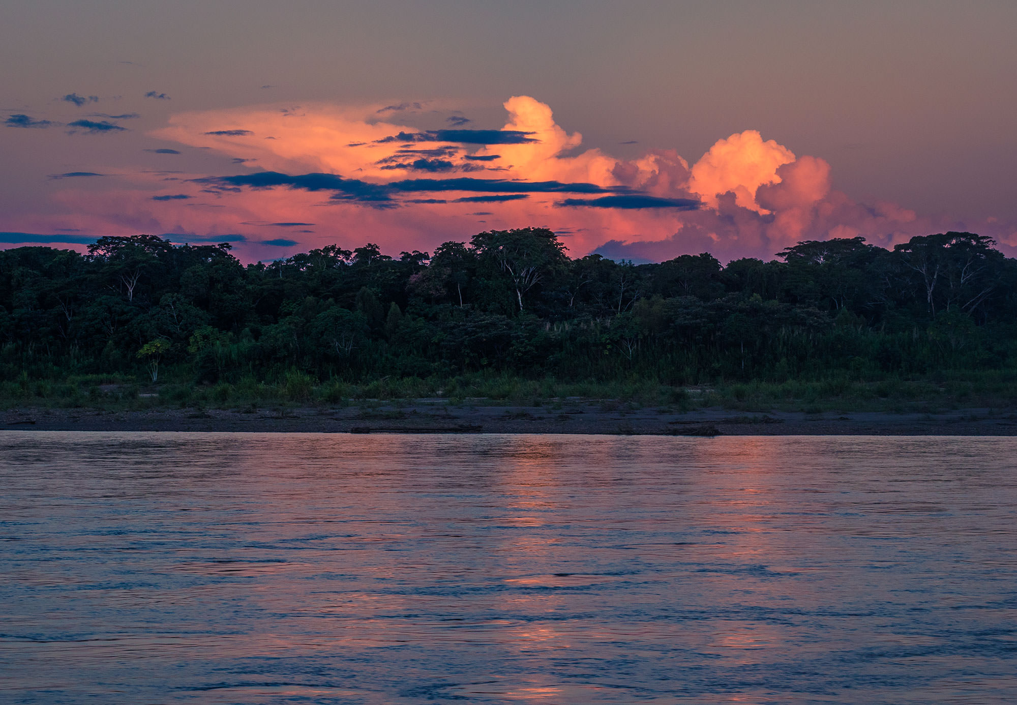 Tambopata River, Peru