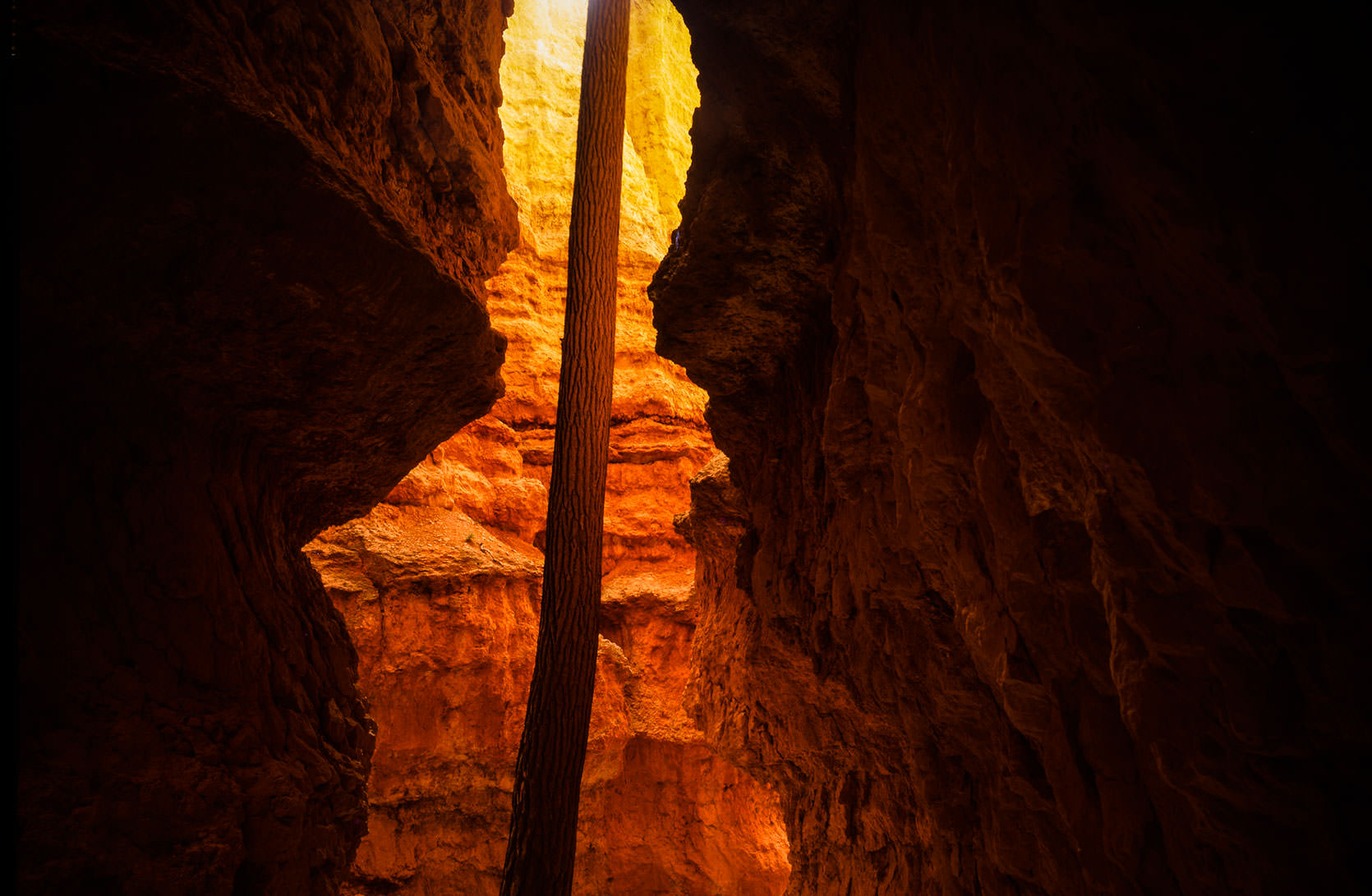 Bryce Canyon Photograph