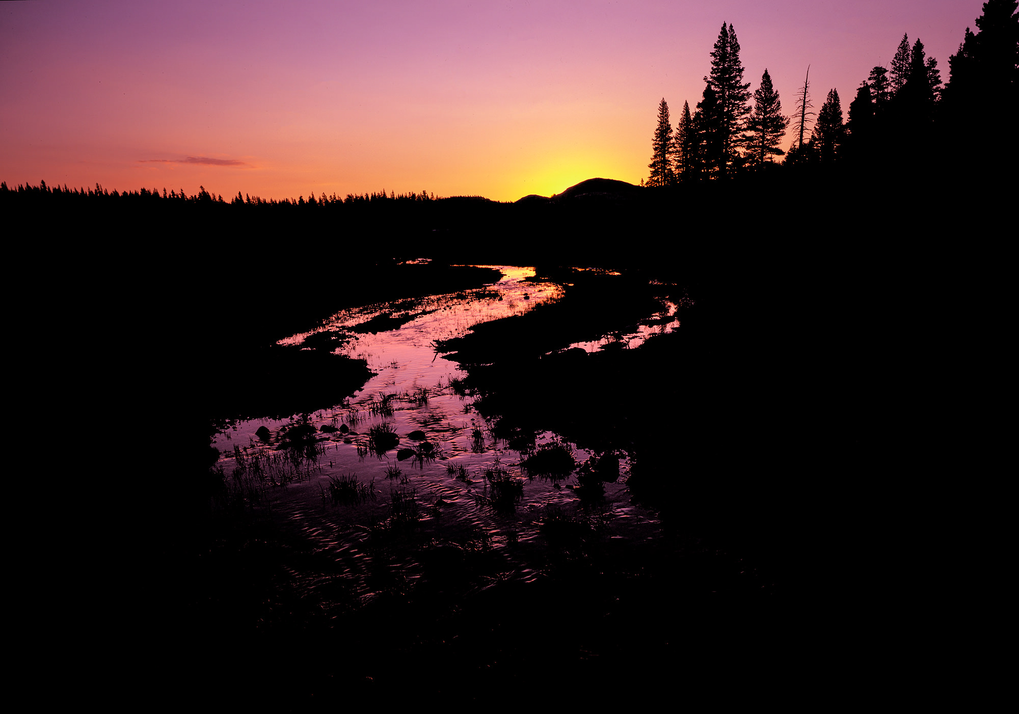 River in Tuolomne Meadows, Yosemite, California