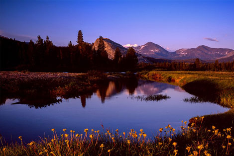 Tuolomne Meadows