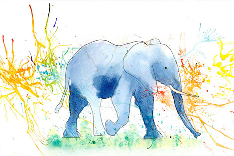 Import of Elephant Tusks