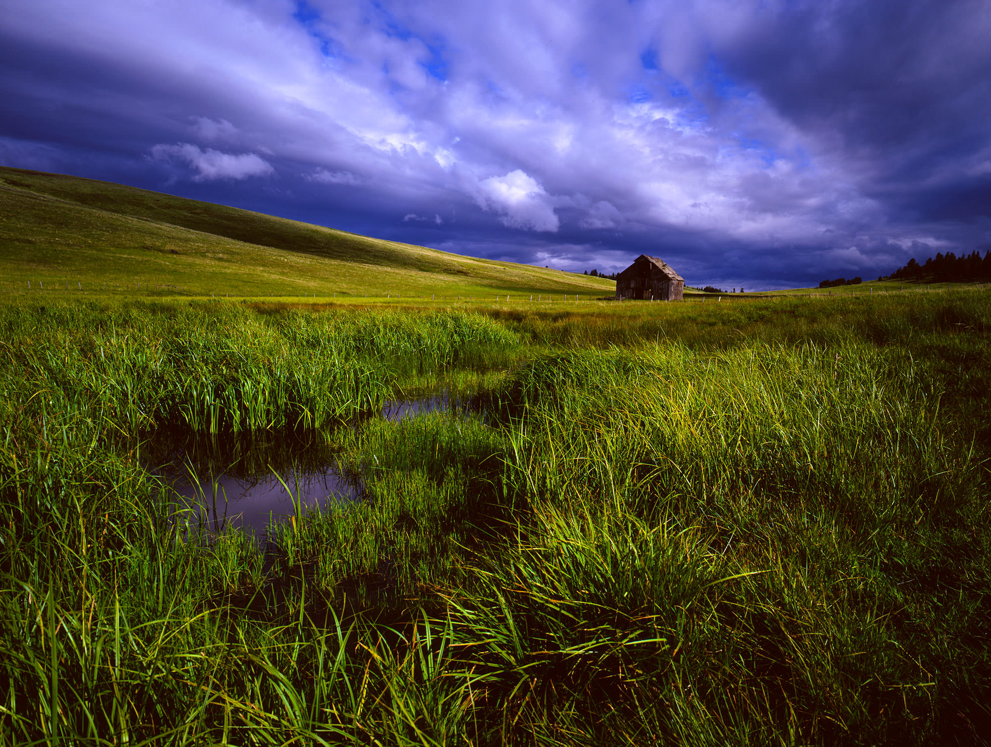 Zumwalt Prairie in Eastern Oregon