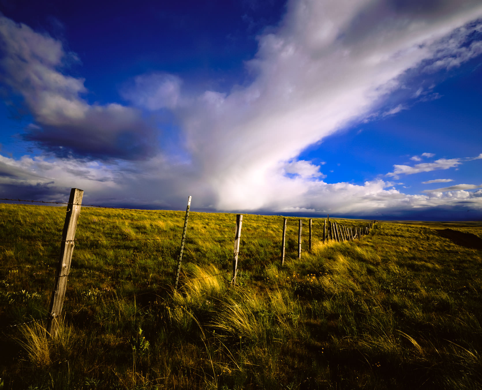 Fenceposts and clouds on the Zumwalt Prairie