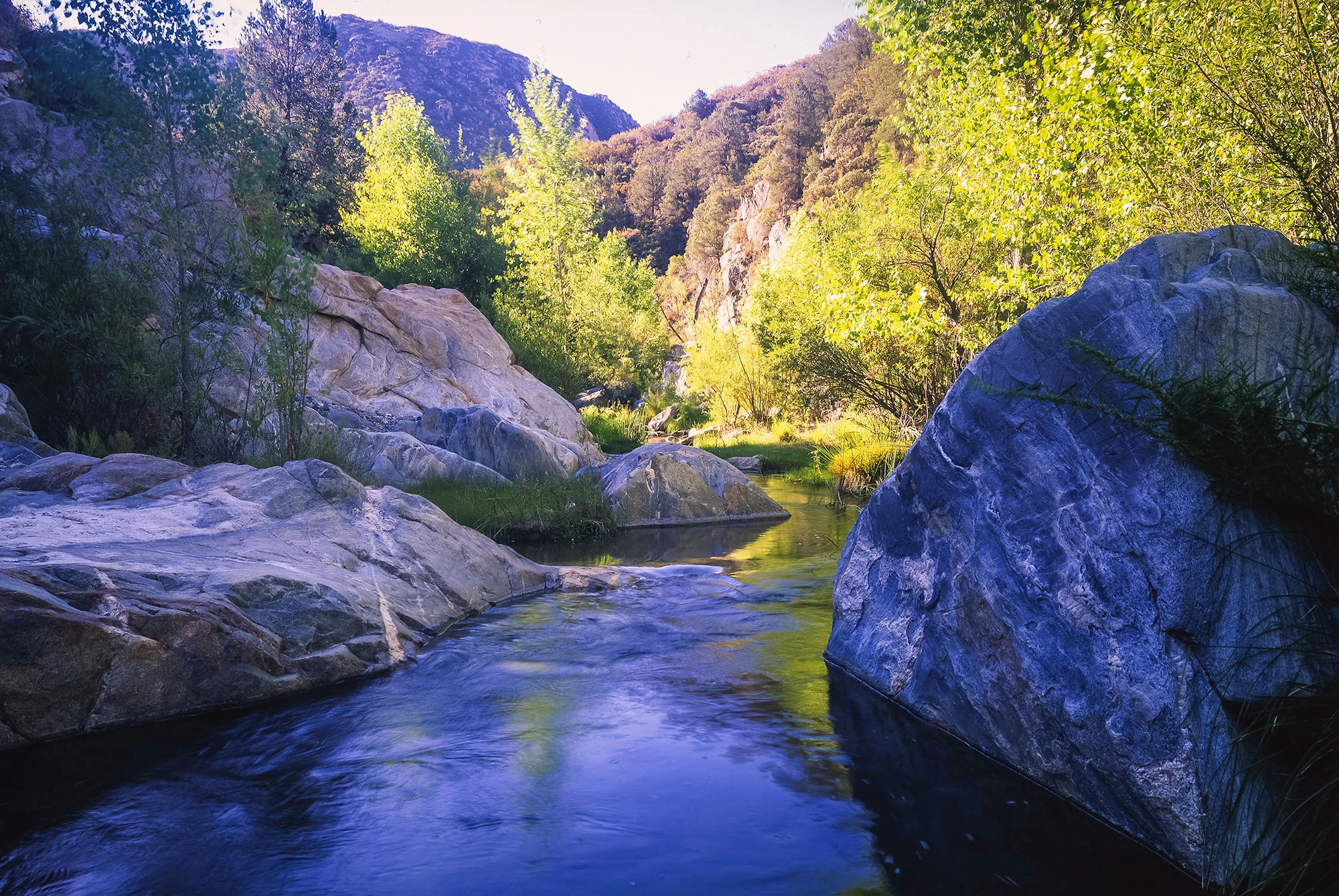 Mountain ridges of the Sierra de San Pedro Mártir in Baja California, Mexico, where rugged granite peaks rise above the desert foothills. The slopes are covered with sparse desert scrub and scattered pines, highlighting the stark contrast between arid lowlands and the high mountain wilderness.