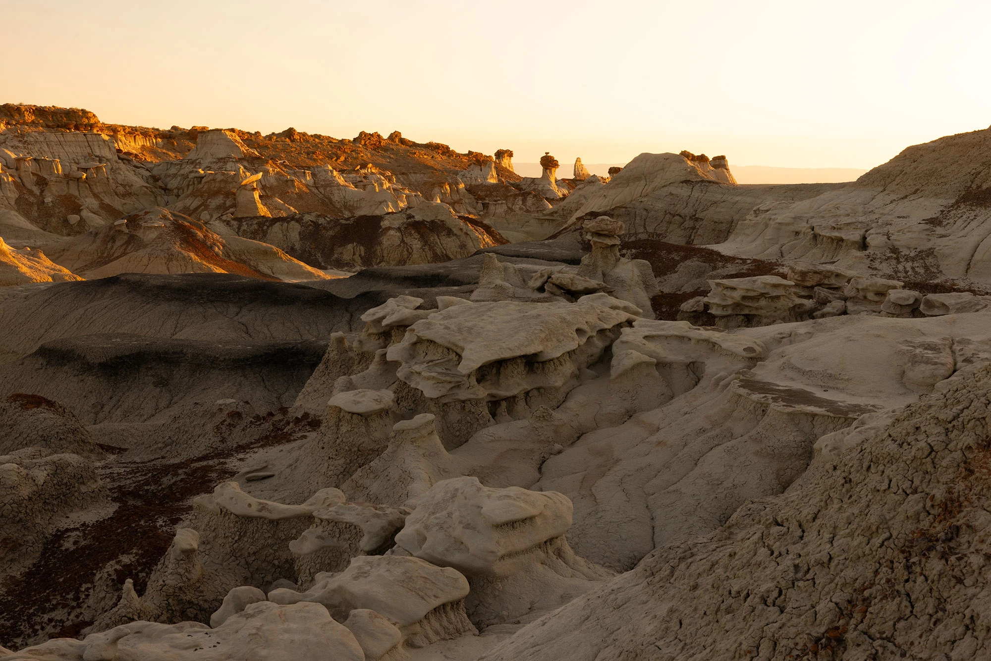 Sunset light casts warm tones on eroded hoodoos and sculpted badlands in the Bisti/De-Na-Zin Wilderness.