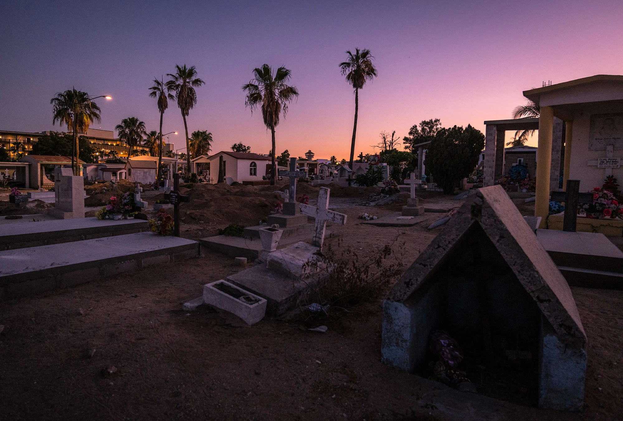Graves and palm silhouettes in the San José del Cabo Cemetery at last light, where the purple dusk glows behind white crosses and desert earth.