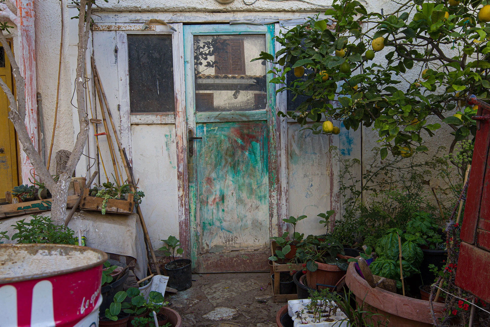 Garden Door in Scopello, Sicily