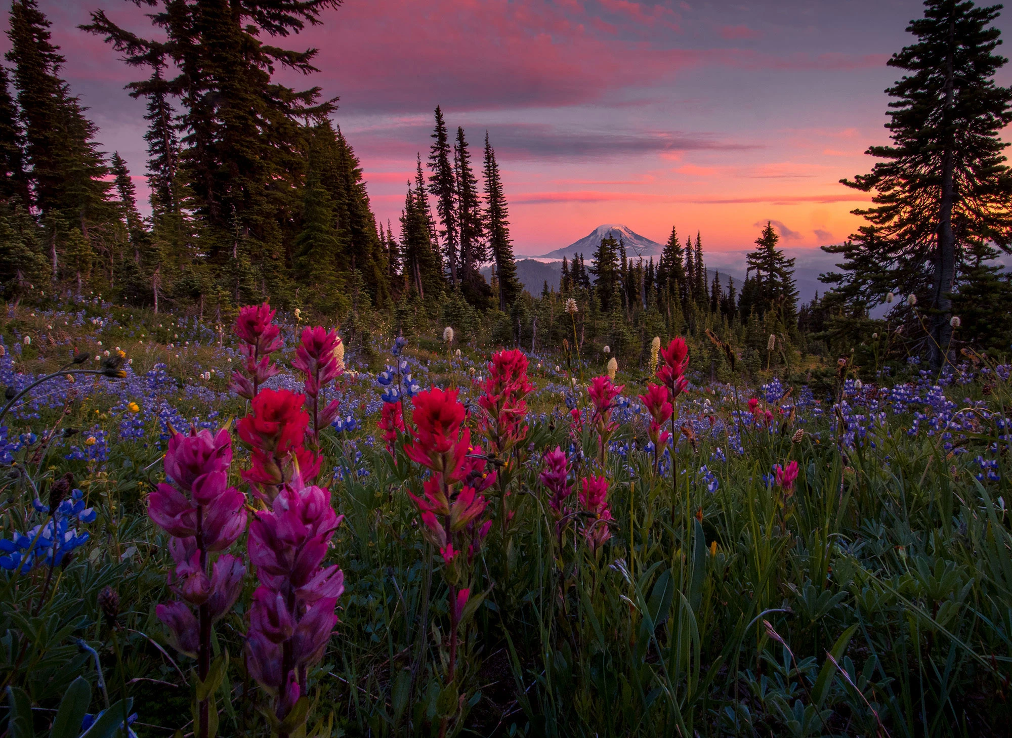 Gifford Pinchot National Forest