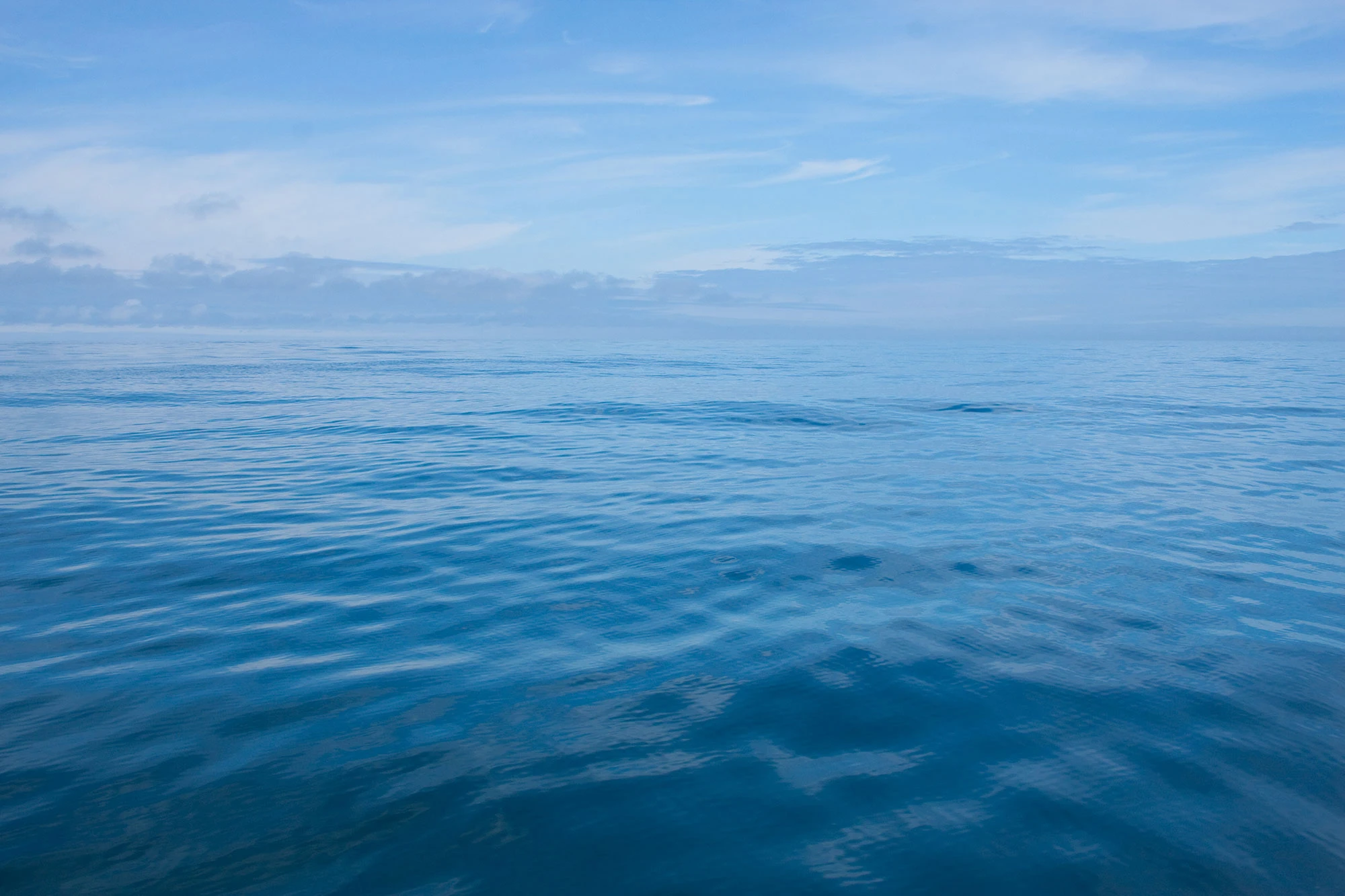 The Abyss of the North Pacific Ocean