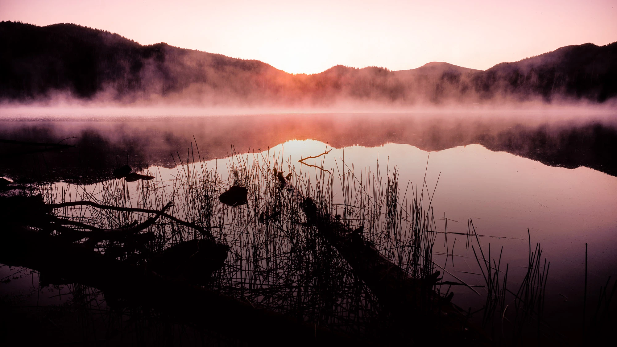 Narrow dusk alley in Rovinj, Croatia—warm stone walls, glowing windows and lantern light, polished cobbles tapering toward the sea—an invitation to wander and discover Europe.