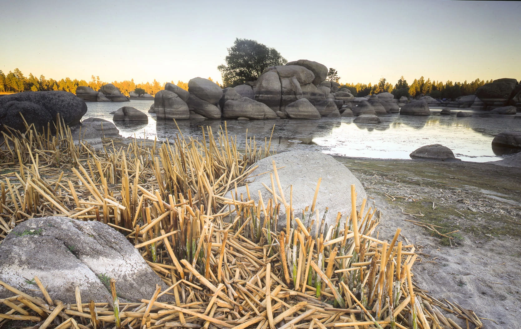 Expansive view across Hansen Lake in Baja California's Constitution 1857 National Park, with still waters reflecting the rugged Sierra de Juárez landscape and tall pines, a seasonal alpine lake that transforms from wide open waters in the rainy season to meadows and marshland in the dry months.