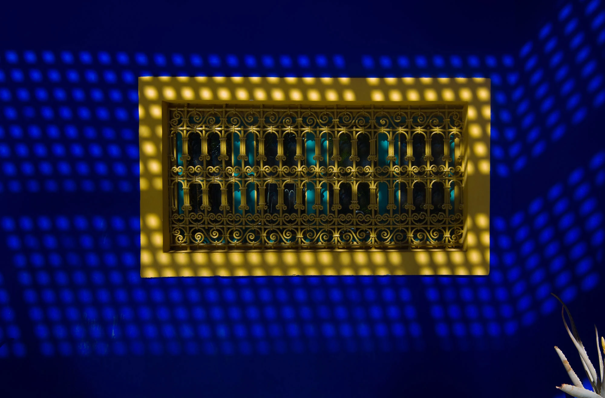 Window at Jardin Majorelle