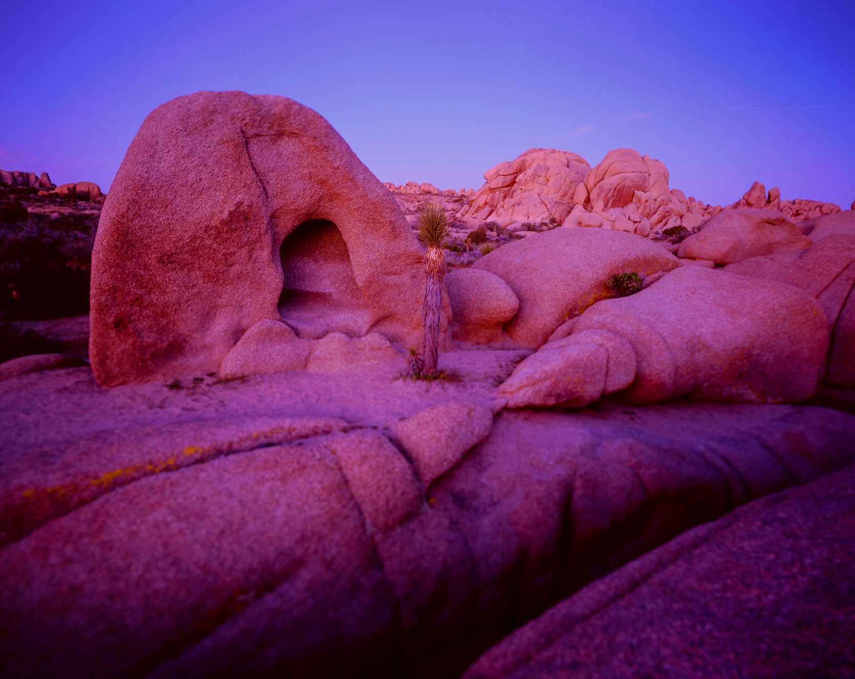 Jumbo Rocks in Joshua Tree