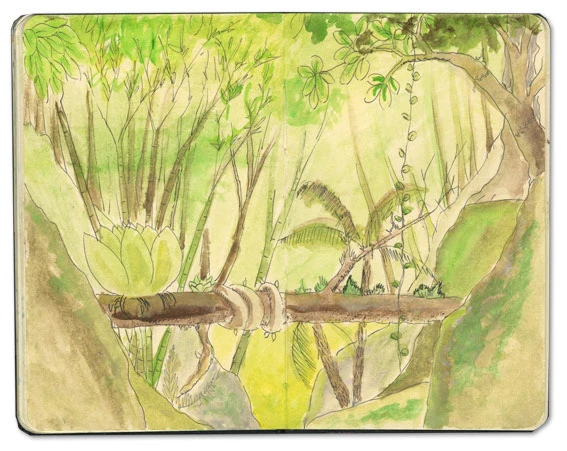 St Lucia Jungle Sketch