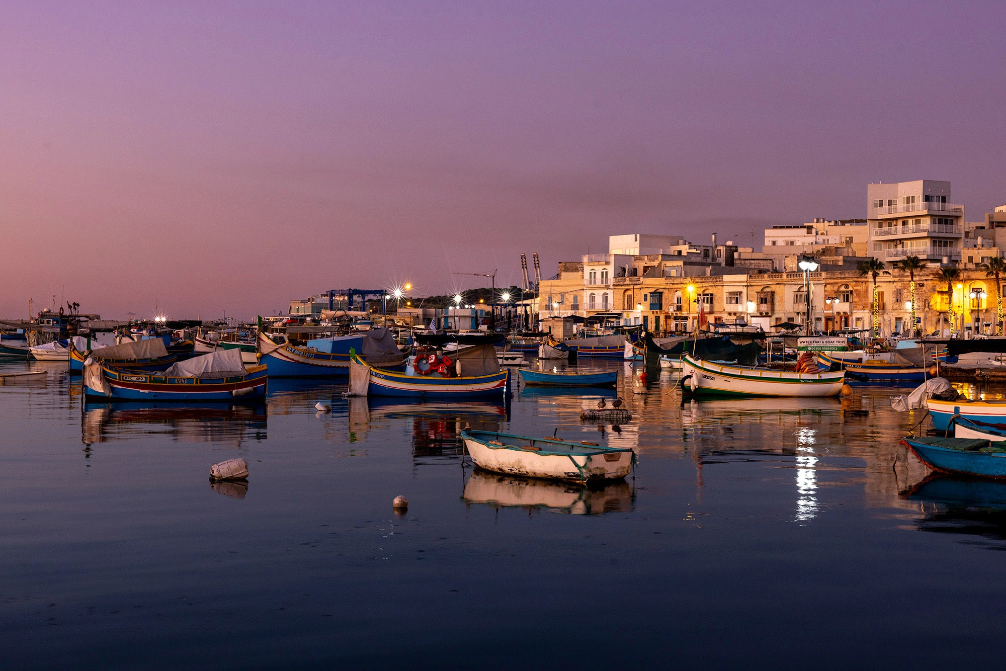 Predawn view of Marsaxlokk Harbor in Malta, where traditional brightly painted luzzu fishing boats rest on calm waters reflecting the lavender sky and the softly glowing lights of the waterfront.