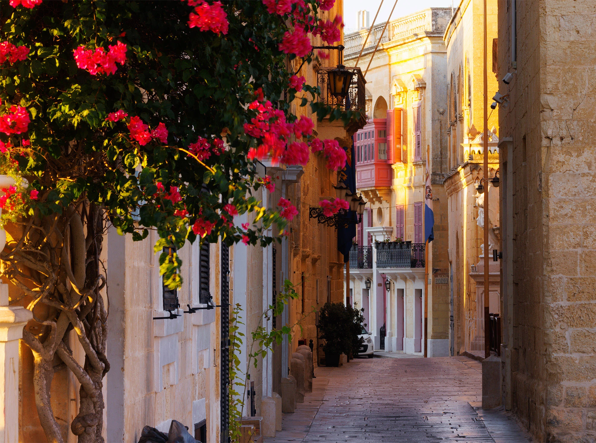 A stone-paved alley in Mdina, Malta, glowing in early morning light. Bougainvillea with vivid pink blossoms spills into the frame on the left, its twisted trunk anchored in limestone. Ornate black lanterns hang from the golden walls, leading the eye toward a cluster of traditional Maltese balconies painted in bright pink and purple. The scene captures Mdina's mix of medieval stonework, Mediterranean flora, and the colorful domestic details that bring life to the Silent City.