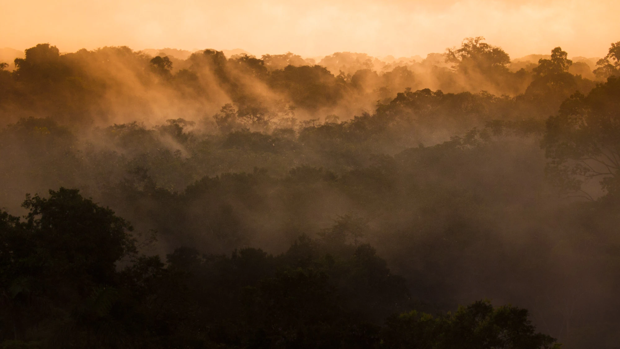 Narrow dusk alley in Rovinj, Croatia—warm stone walls, glowing windows and lantern light, polished cobbles tapering toward the sea—an invitation to wander and discover Europe.
