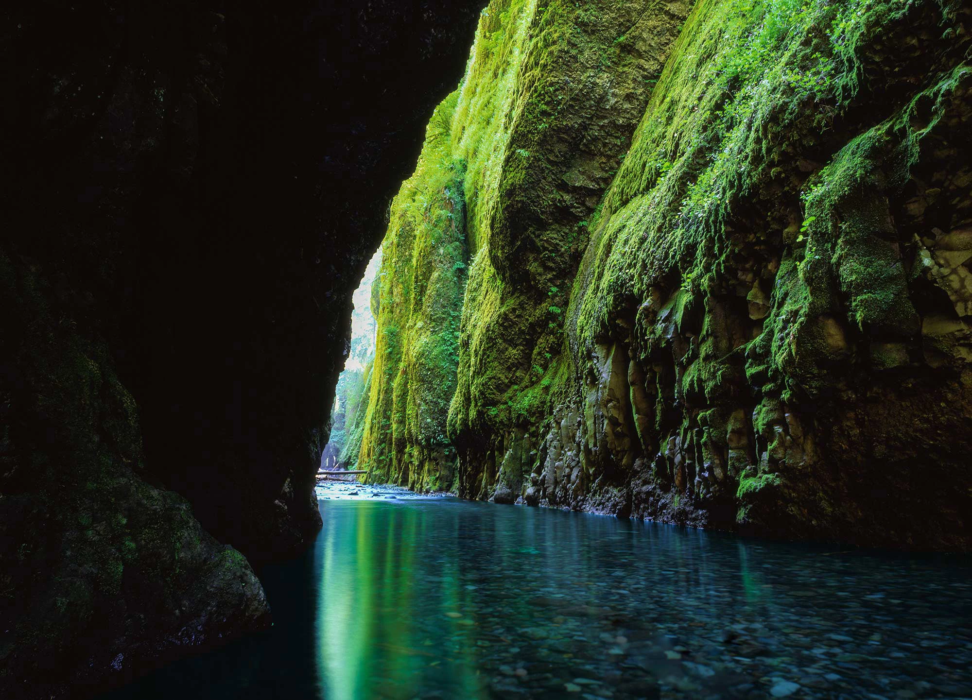 Deep within Oneonta Gorge, emerald light reflects off the stream as moss-covered basalt walls rise steeply toward a narrow slit of sky.