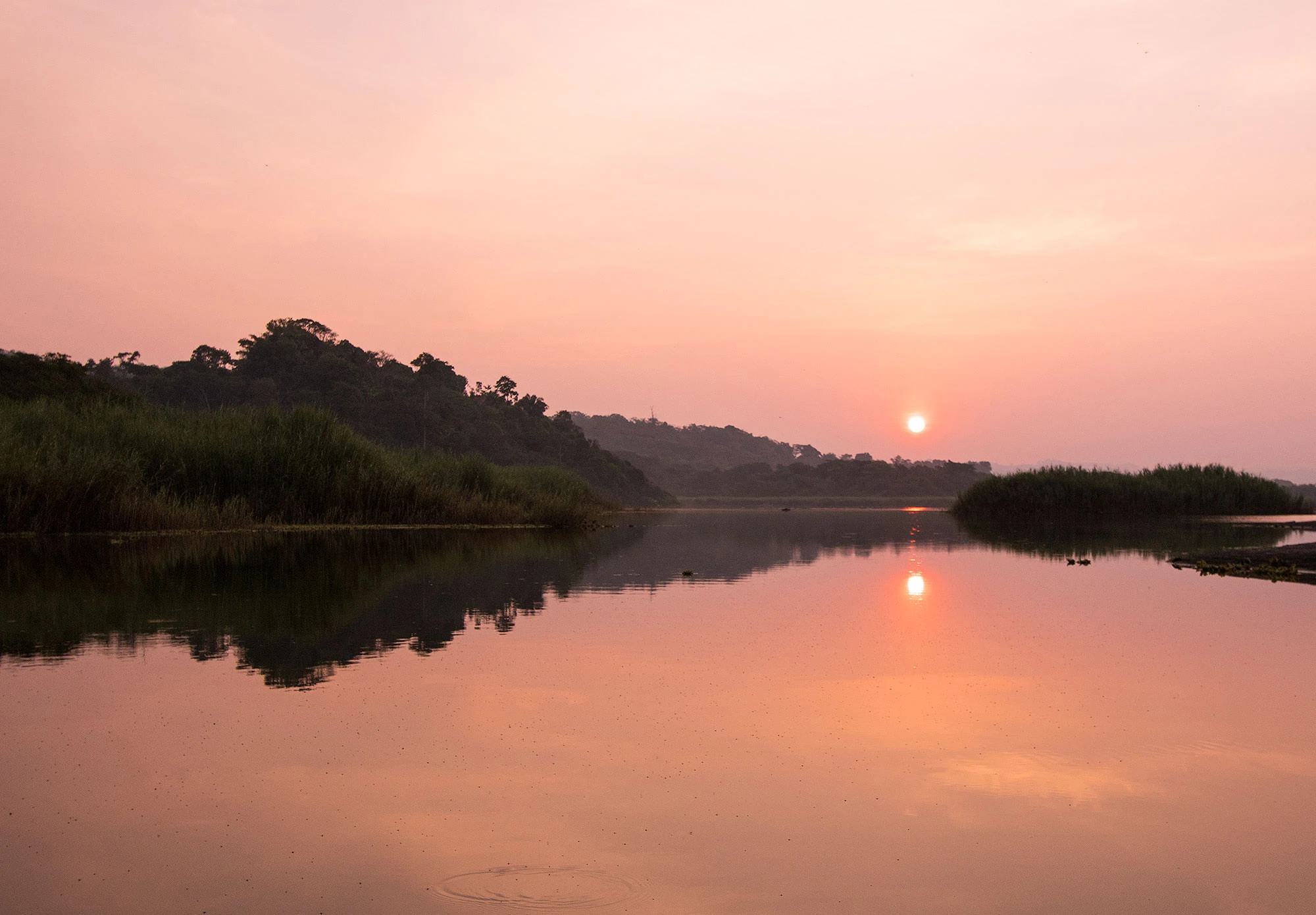 Pepe Perrito Lagoon surrounded by rainforest in Costa Rica's Osa Peninsula
