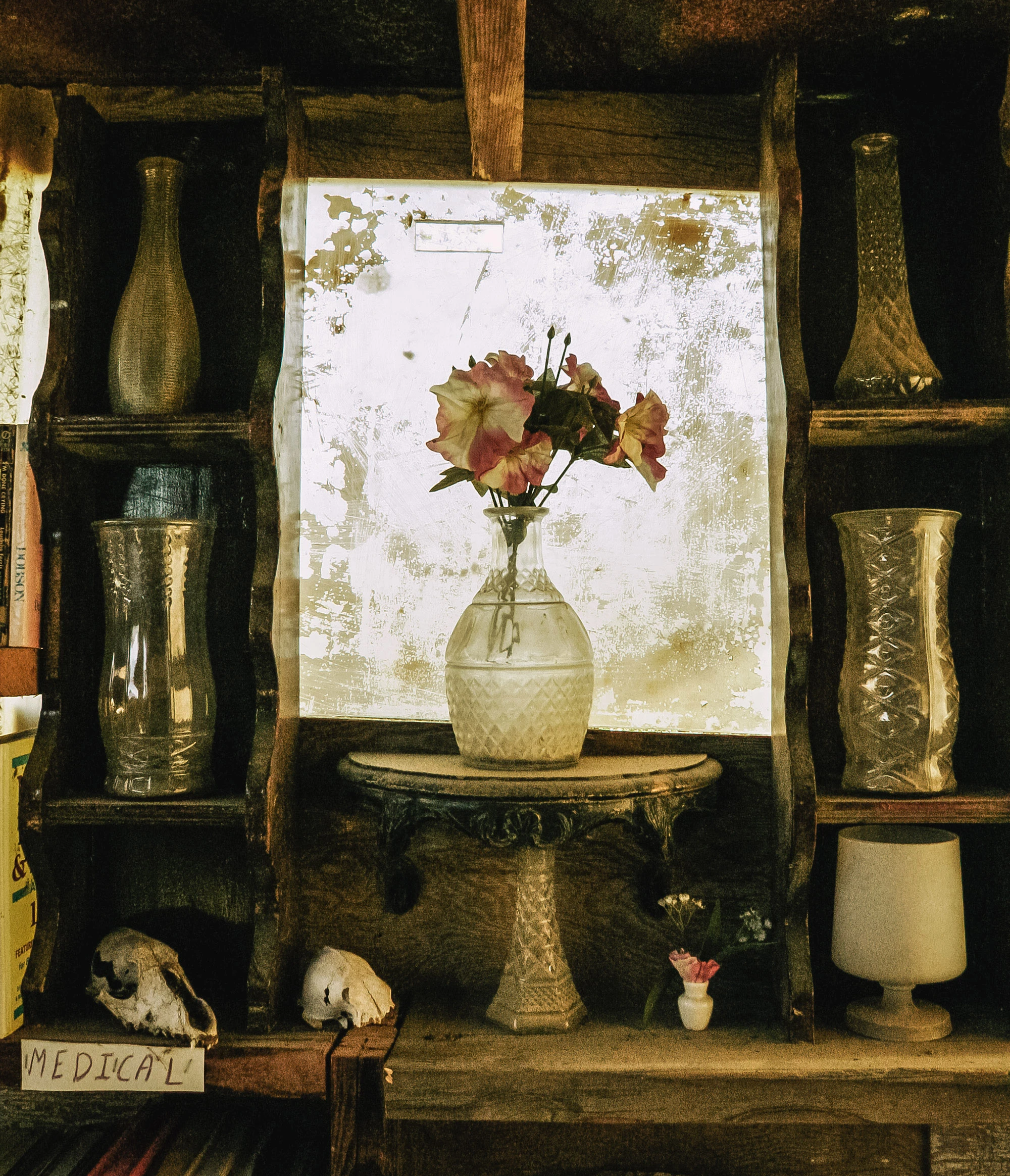 Detail from the medical section of the Slab City library