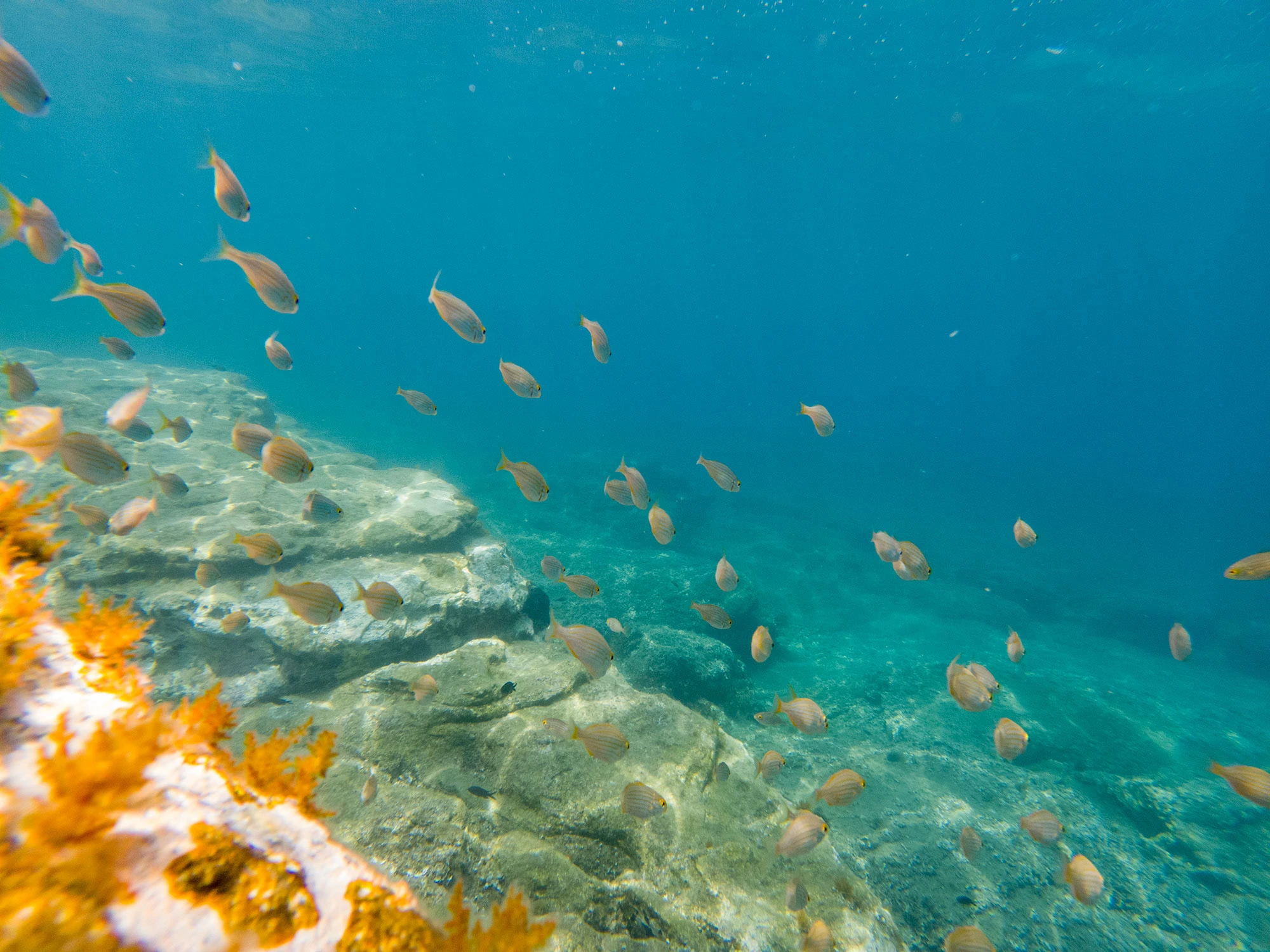 Snorkeling in the turquoise waters of Paros