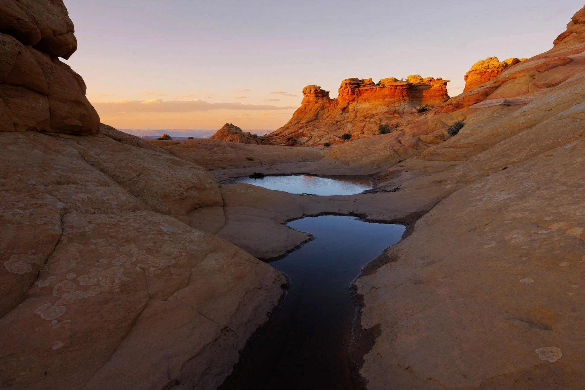 Shallow pools of rainwater collect in smooth, sculpted sandstone basins at South Coyote Buttes, reflecting the soft glow of twilight. In the distance, orange and red rock formations rise dramatically, lit by the last warm rays of the setting sun. The landscape is rugged and surreal, with rolling stone surfaces and desert textures stretching to the horizon.