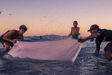 Tamarindo to Tapir Valley