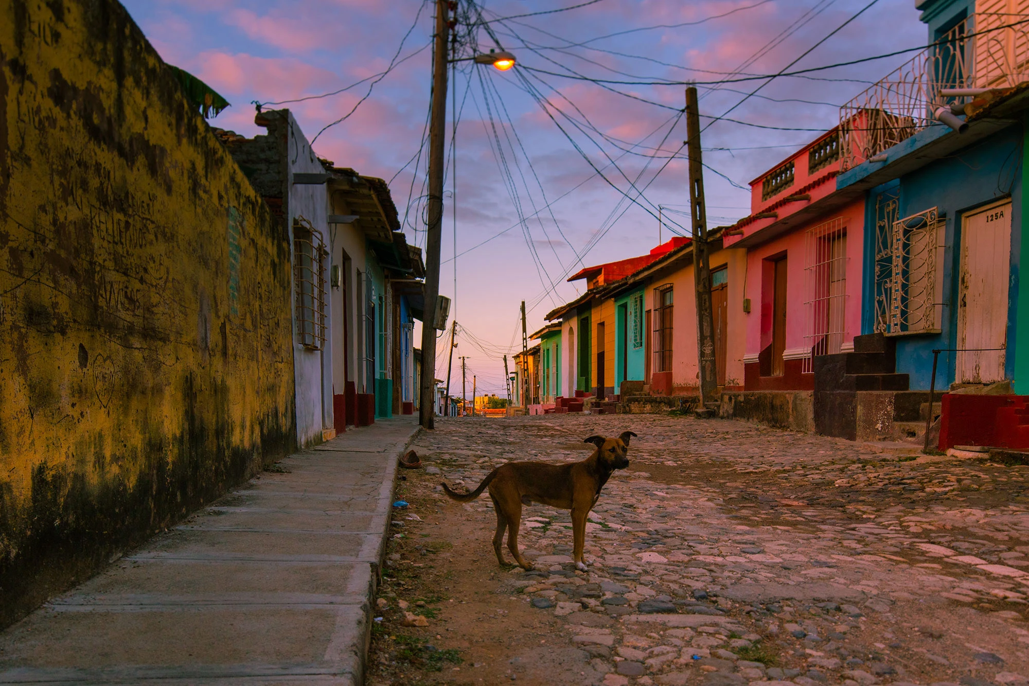 At predawn, a dog looks out over a neighborhood street in Trinidad, Cuba