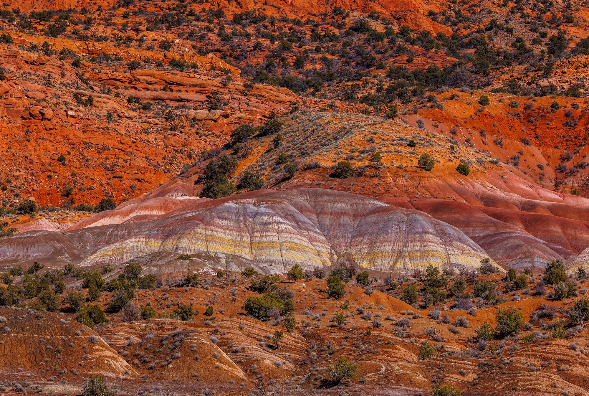 Rainbow-colored geology near White Pocket, Vermilion Cliffs